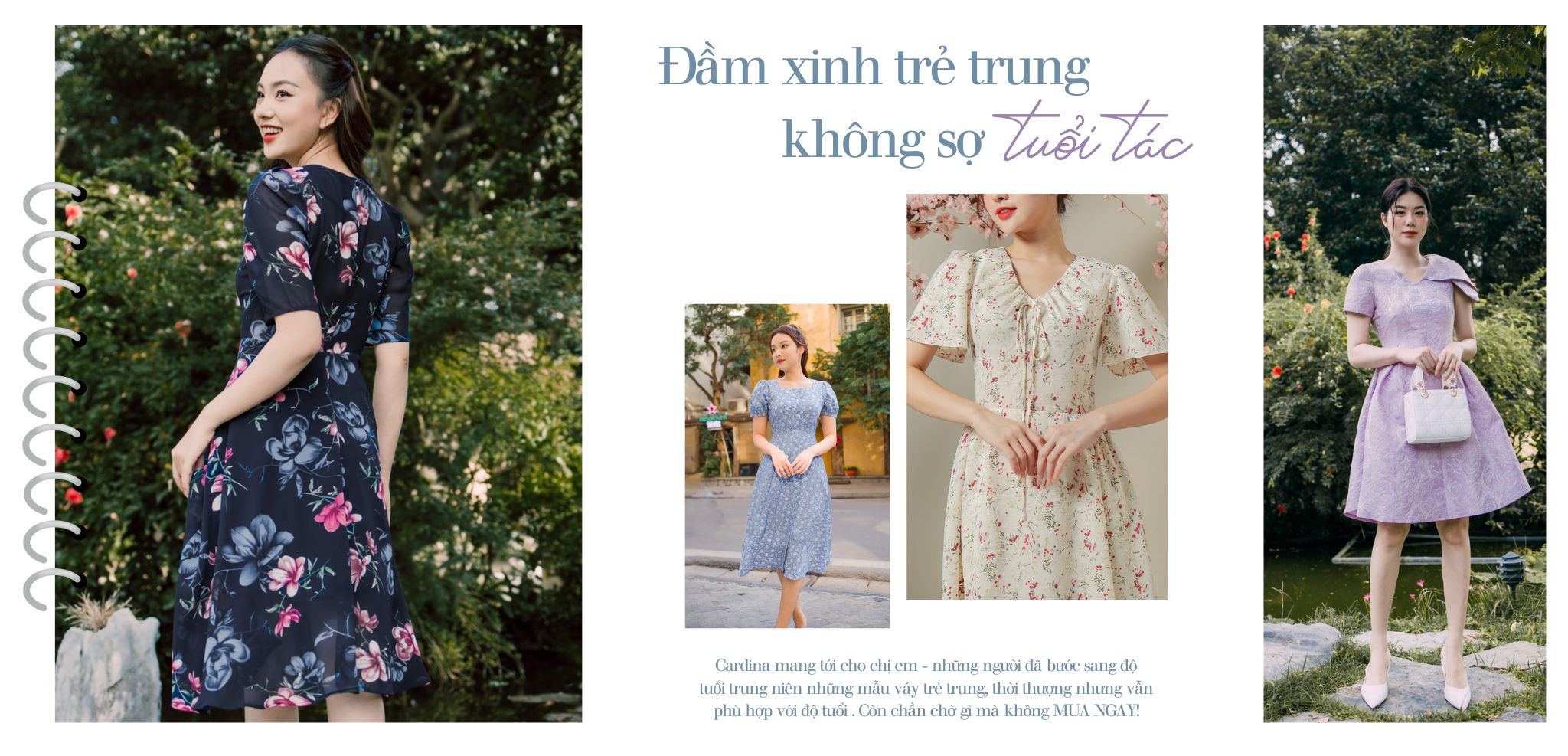 đầm trung niên